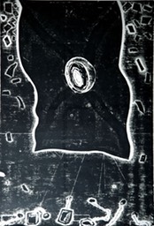 72 Donut Flag with Teabags collagraph 2010