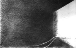 Study