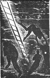 Jake's Ladder