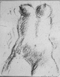 Torso Study