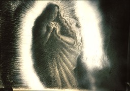 MADONNA Visitation